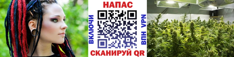 ссылка на мегу вход  Тайга  Бошки Шишки THC 21%  где купить  